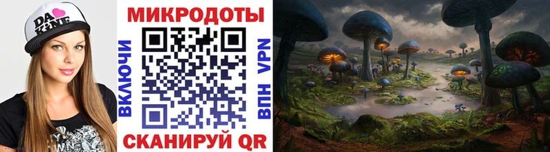 Галлюциногенные грибы Psilocybe  Вилюйск 